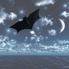 Bat Fledermaus Drachen