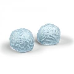 Eiswürfelform Gehirne
