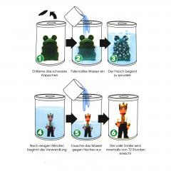 Aus Frosch wird Traumprinz