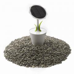 Solar Ladegerät Blume